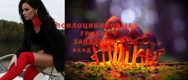 дмт Лабытнанги