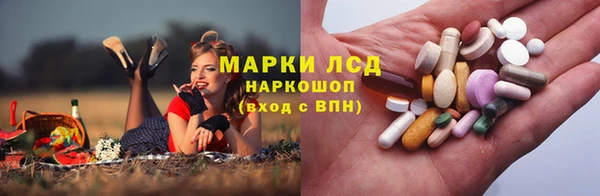 дмт Лабытнанги
