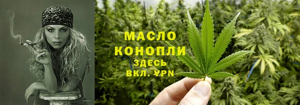 дмт Лабытнанги