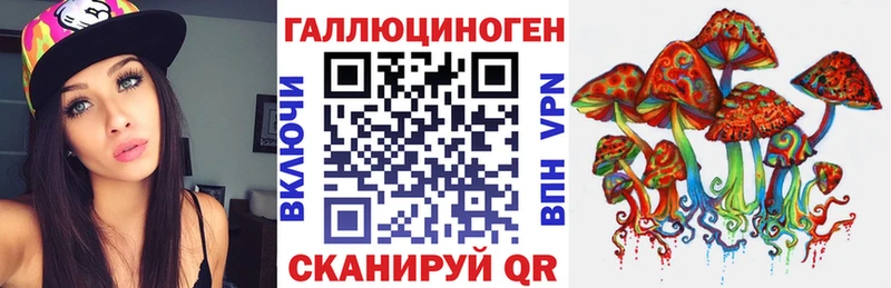 Галлюциногенные грибы Psilocybe  что такое наркотик  Новокубанск 