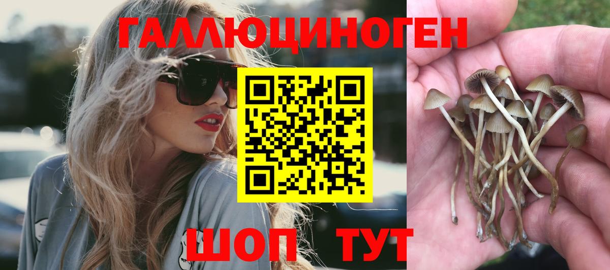 Псилоцибиновые грибы прущие грибы Новокубанск