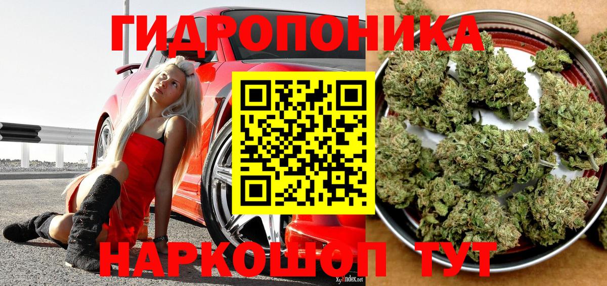 Новокубанск  Шишки марихуана White Widow  Вход с VPN  Марихуана тримм 